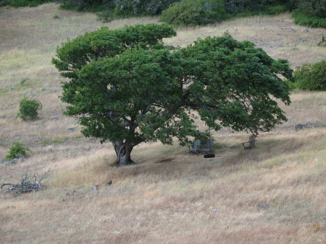 7.30.06 Coyote Wall, Labyrinth 056 